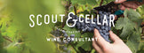 Independent Scout and Cellar Wine Consultant 